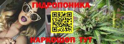 метадон Гусев