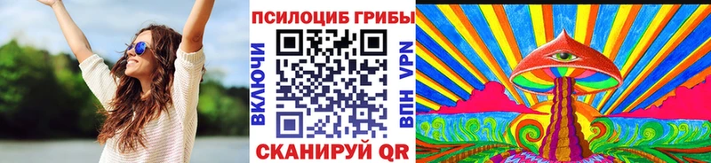 Галлюциногенные грибы Cubensis  закладка  Менделеевск 
