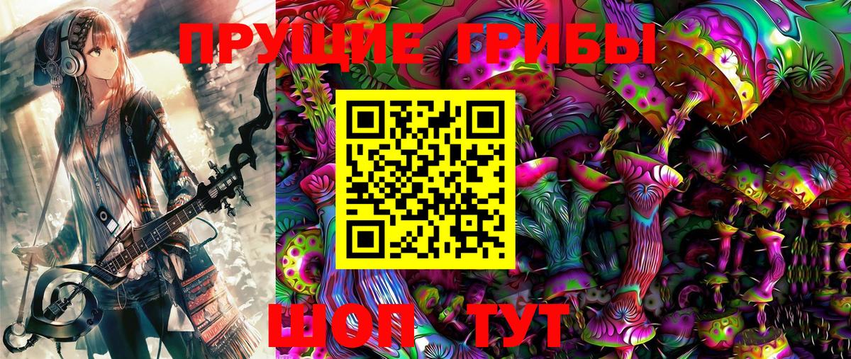 Псилоцибиновые грибы Cubensis Менделеевск